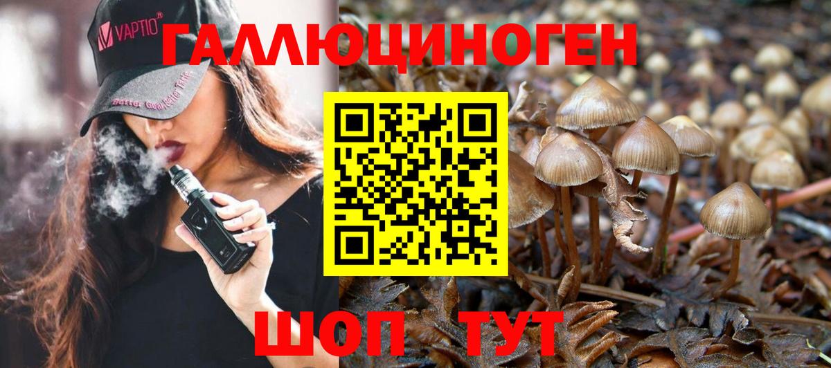 Галлюциногенные грибы прущие грибы Нижний Тагил