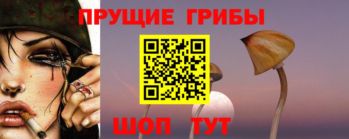 Нижний Тагил  Галлюциногенные грибы GOLDEN TEACHER  Вход с VPN 